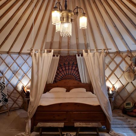 Vakantiewoning In Monumentale Boerderij Met Yurt Eckelrade 外观 照片